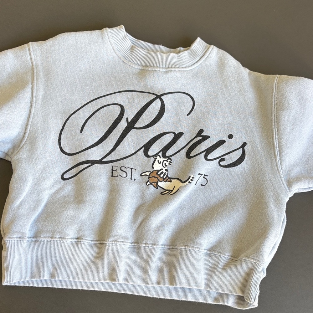 Zara Kids light blue 'Paris' Graphic Sweatshirt